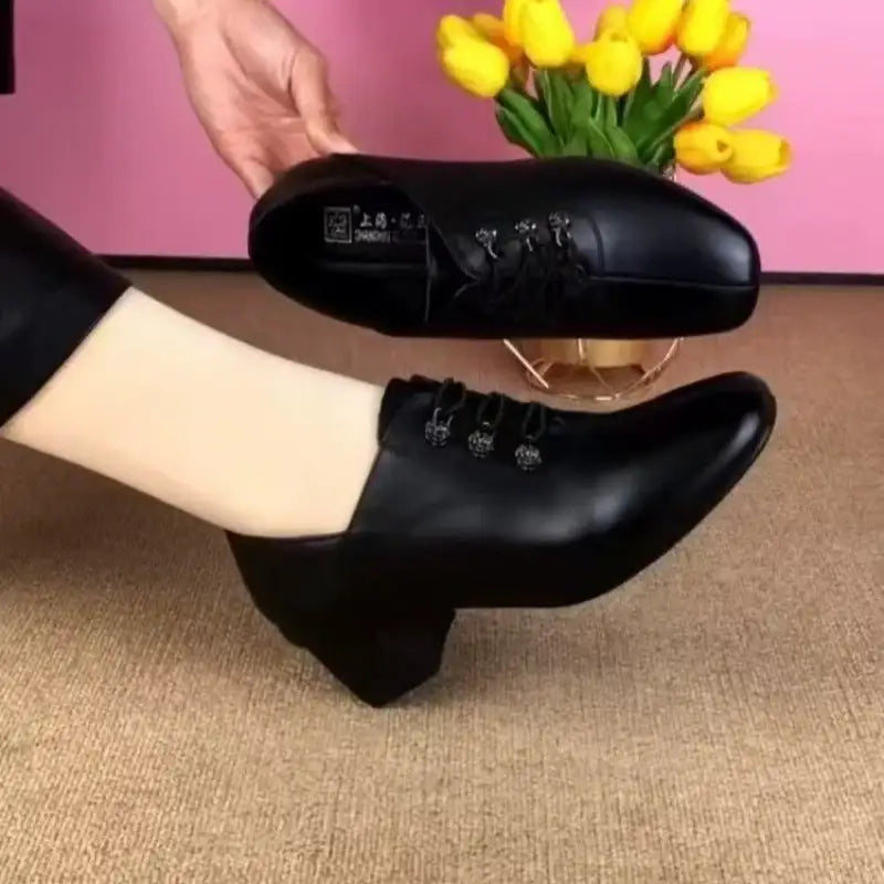 Zapatos de piel sencillos